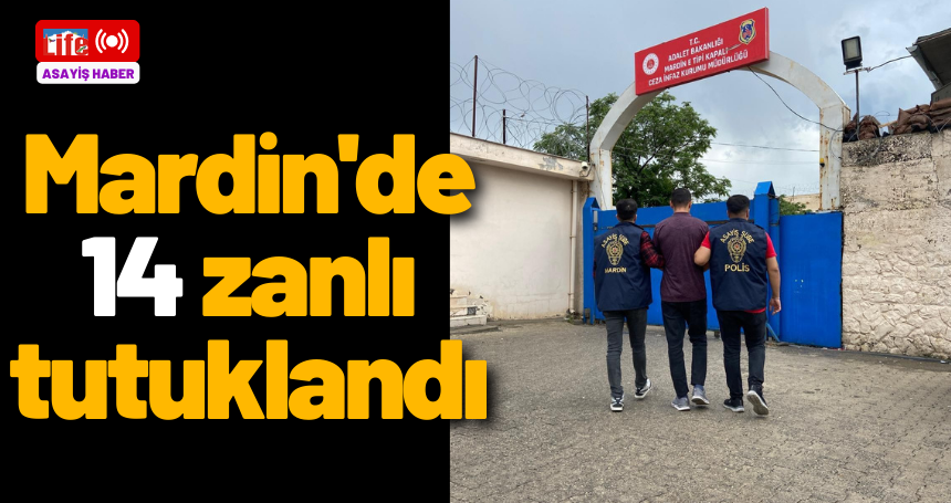 Mardin'de 14 zanlı tutuklandı