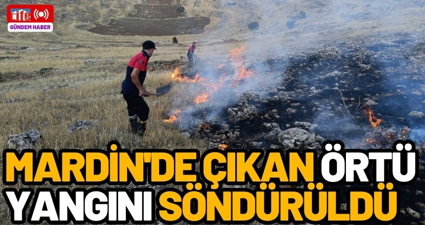 Mardin'de çıkan örtü yangını söndürüldü