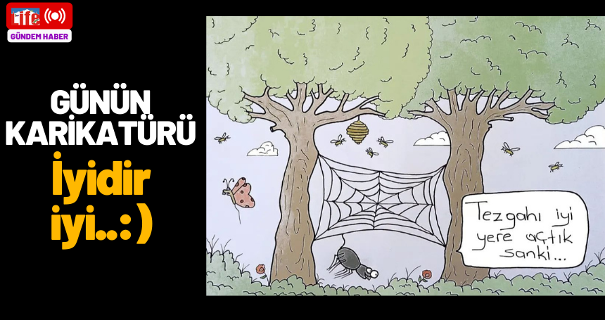 Günün karikatürü: İyidir iyi..:)