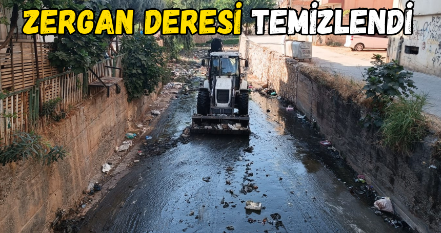 Kızıltepe Zergan Deresi temizlendi