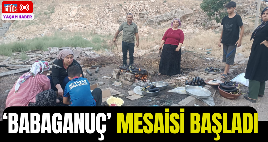 Mardin'de ‘babaganuç’ mesaisi başladı