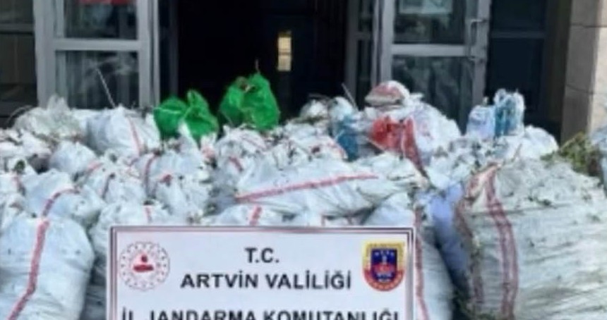 Artvin'de 502 Kilogram esrar ele geçirildi, 2 şüpheli yakalandı