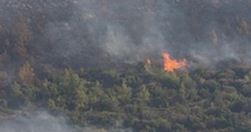 Bilecik'te arazi ve makilik alanda yangın