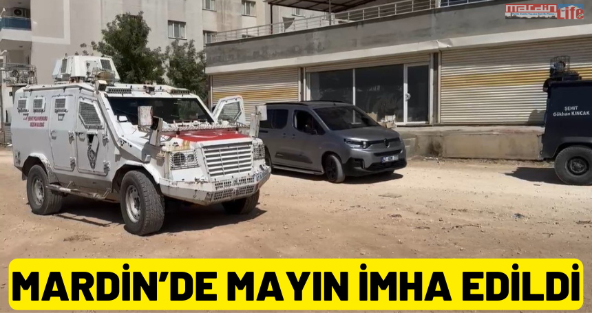 Mardin’de mayın imha edildi