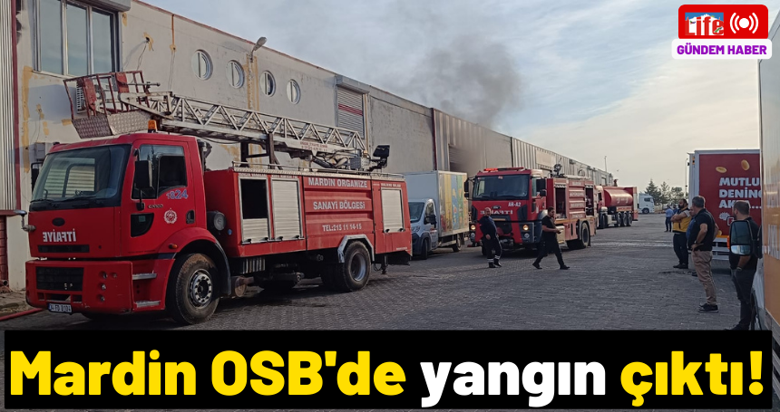 Mardin OSB'de yangın çıktı!