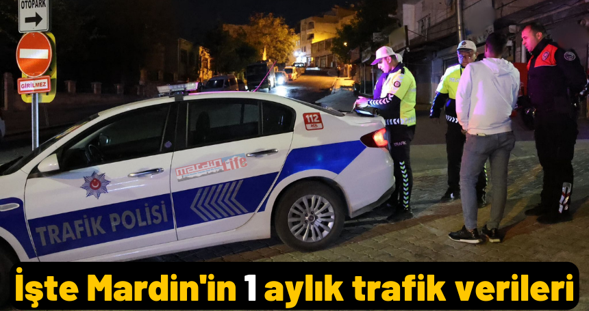 İşte Mardin'in 1 aylık trafik verileri