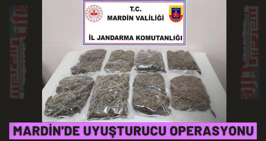 Mardin'de uyuşturucu operasyonu