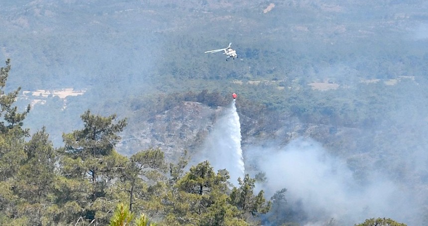 Hatay'da orman yangın