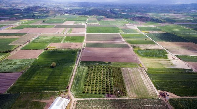 Arazi toplulaştırma çalışması 2025'te 456 bin hektarı kapsayacak