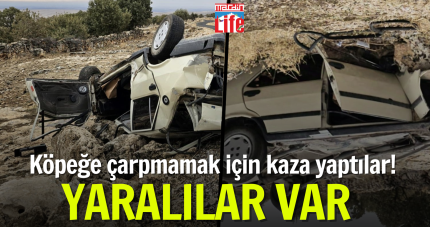 Köpeğe çarpmamak için kaza yaptılar! yaralılar var