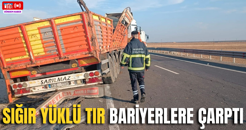 Mardin'de sığır yüklü tır bariyerlere çarptı