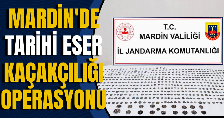 Mardin'de tarihi eser kaçakçılığı operasyonu