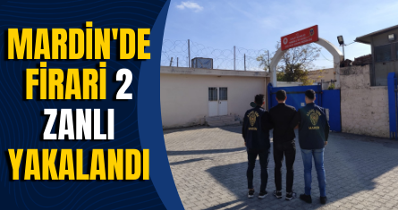 Mardin'de firari 2 zanlı yakalandı