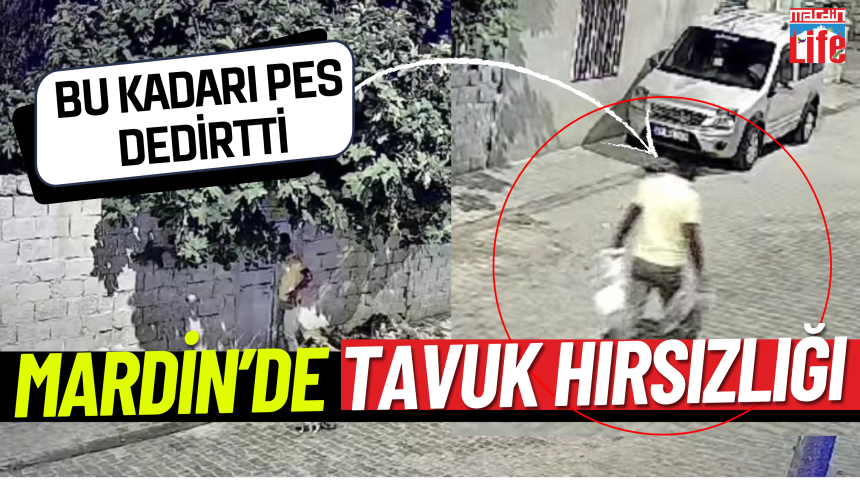 Nusaybin'de Tavuk Hırsızlığı