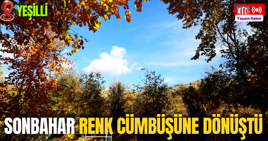 Yeşilli’de Sonbahar Renk Cümbüşüne Dönüştü