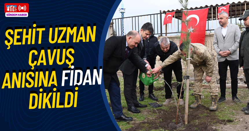 Mardin'de Şehit Uzman Çavuş anısına fidan dikildi