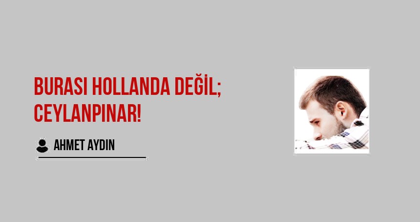 Burası Hollanda değil; Ceylanpınar!