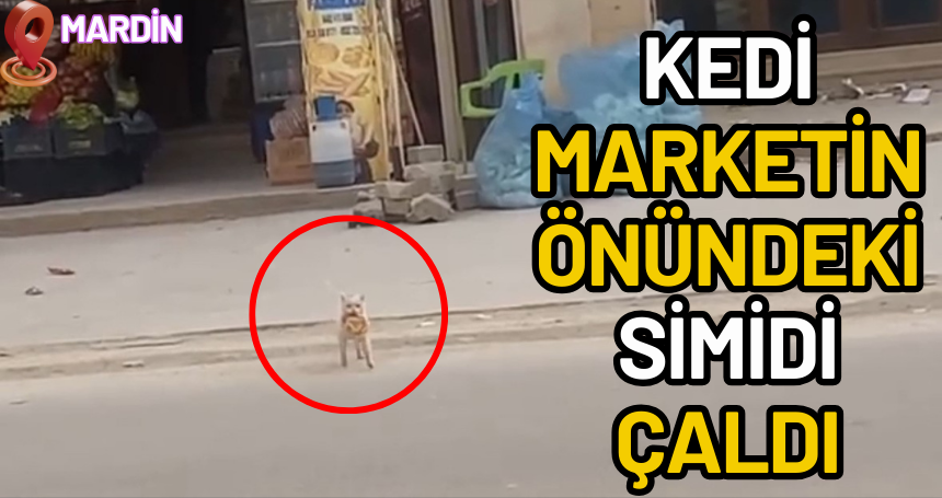 Mardin'de kedi marketin önündeki simidi çaldı