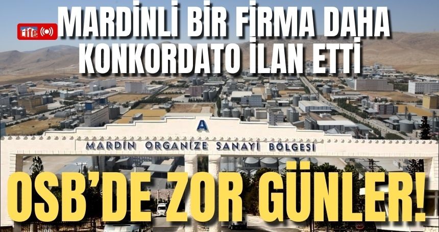 Mardin Sanayisi zor günler geçiriyor! Mardinli bir firma daha Konkordato ilan etti