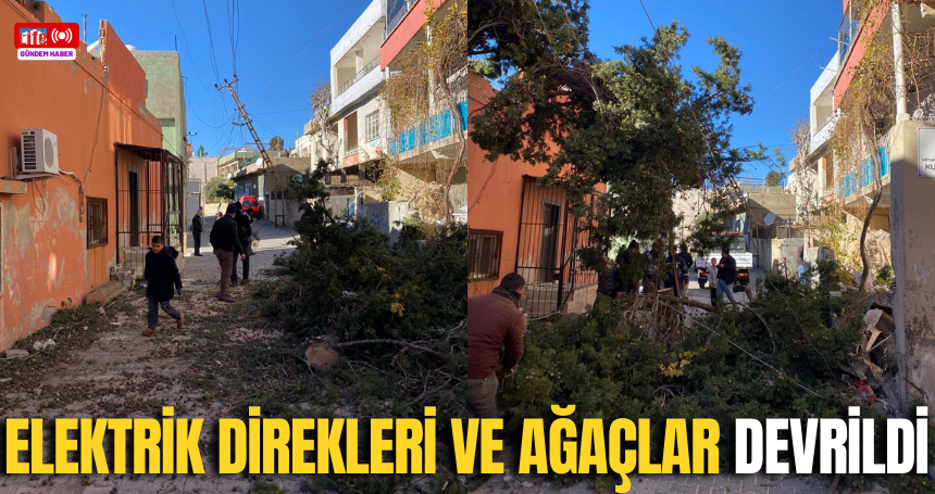 Mardin'de şiddetli rüzgar elektrik direkleri ve ağaçları devirdi