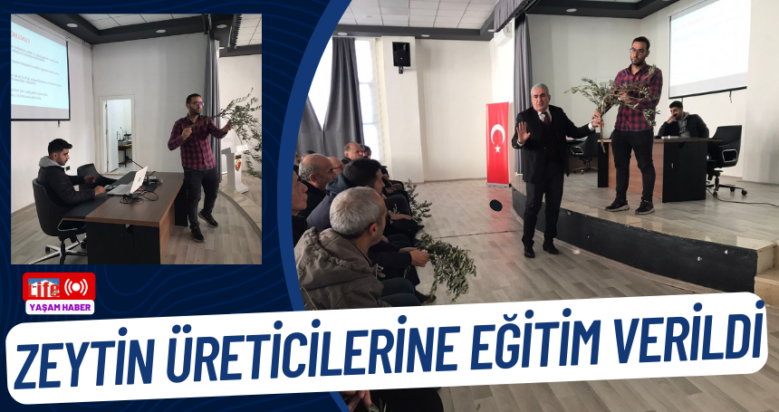 Zeytin üreticilerine eğitim verildi