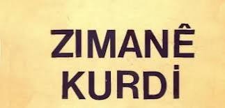 Kürtçe'de "Teşkele" ne demek? Teşkele yapma ne demek? Hangi illerde kullanılır?