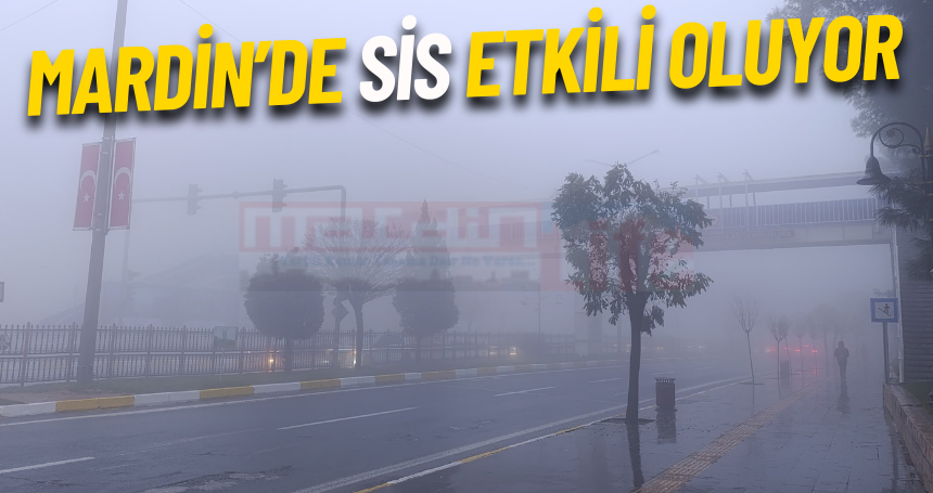 Mardin'de yoğun sis etkili oluyor