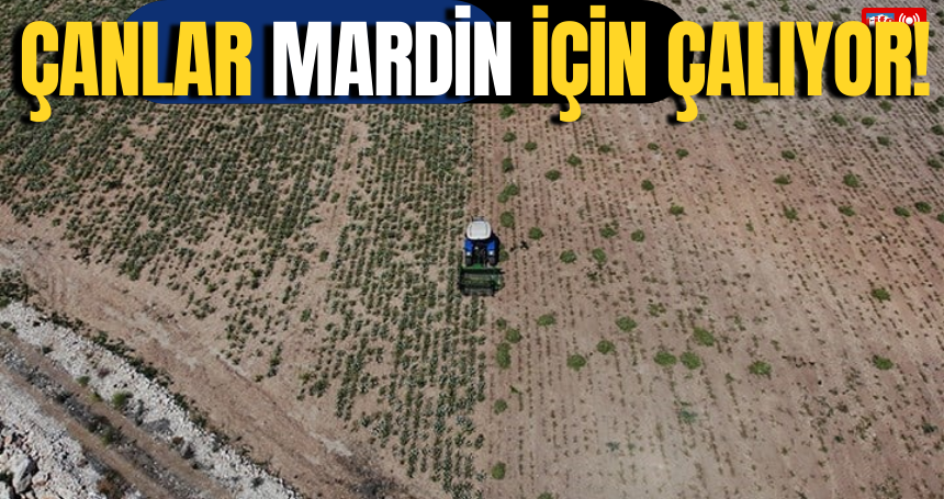 Çanlar Mardin için çalıyor!