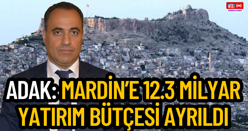 Adak: Mardin’e 12.3 Milyar yatırım bütçesi ayrıldı