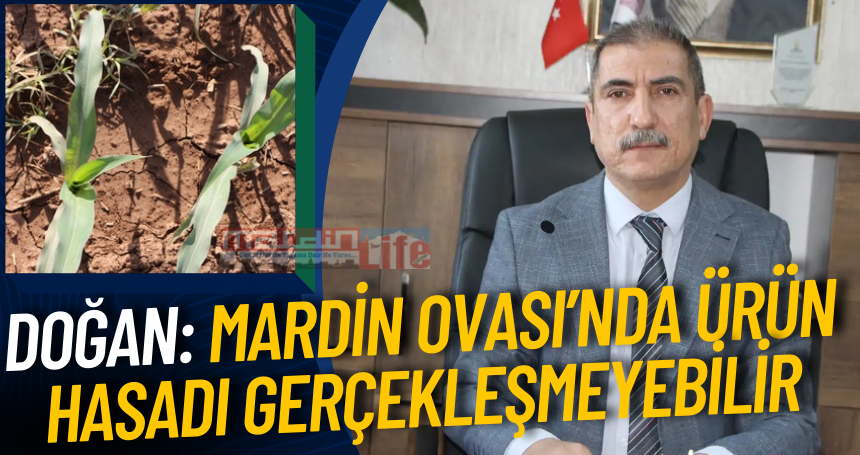 Prof. Dr. Doğan: Mardin Ovası’nda ürün hasadı gerçekleşmeyebilir