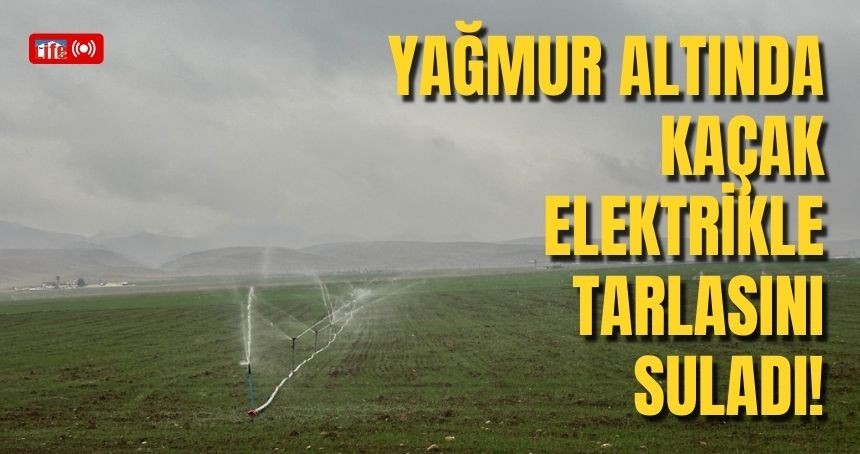 Yağmurlu Havada Kaçak Elektrikle Tarlasını Suladı İddiası!