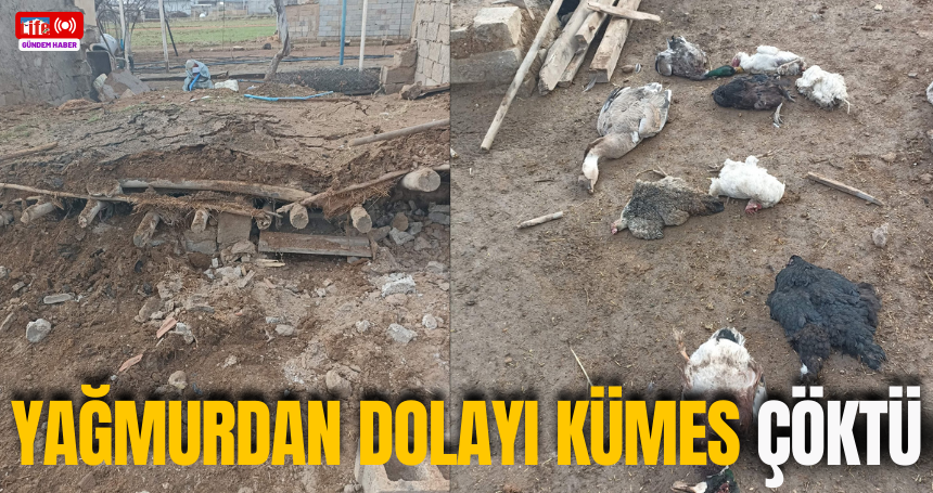 Yağmurdan dolayı kümes çöktü