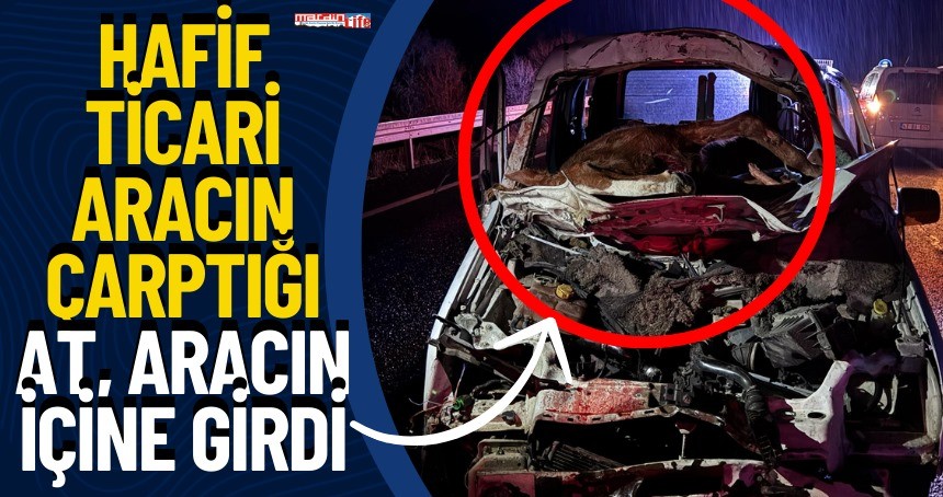 Mardin'de feci kaza: Hafif ticari aracın çarptığı at, aracın içine girdi