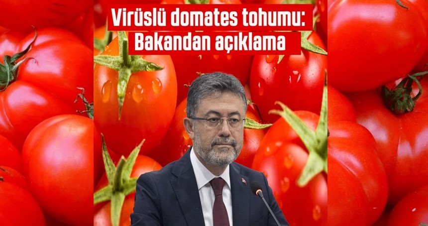 Virüslü domates tohumu: Bakandan açıklama