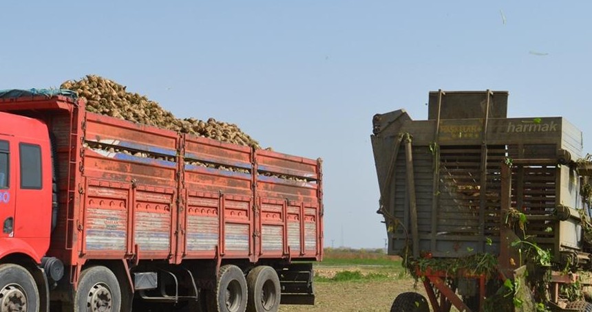 Çiftçilere 3,2 milyar liralık destek ödemesi bugün yapılacak