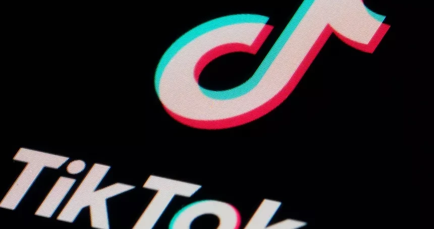 TikTok Takipçi Satın Al