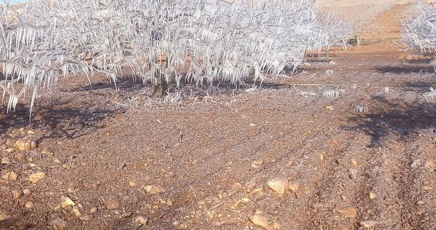 Meteorolojiden çiftçilere "zirai don" uyarısı