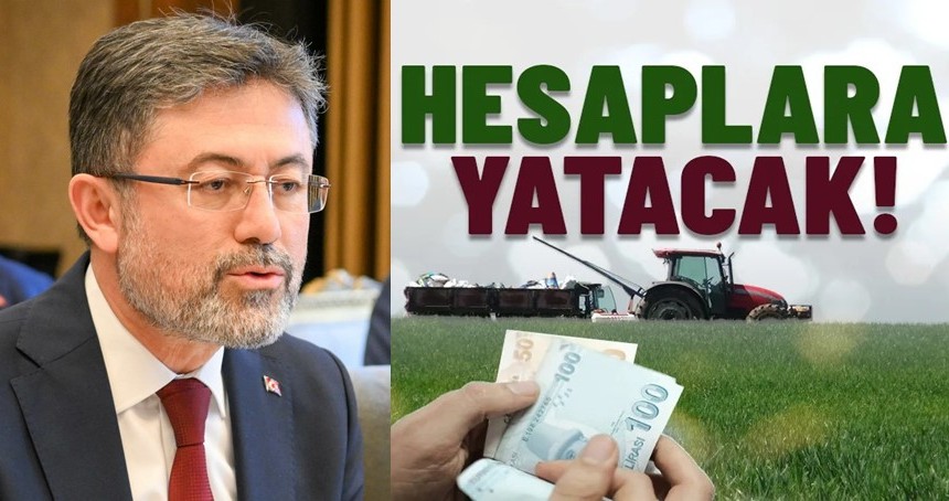 Destek ödemesi hesaplara yatacak!