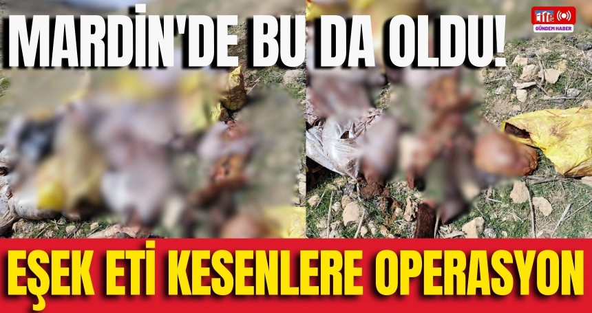 Mardin'de bu da oldu! Eşek eti kesenlere operasyon...