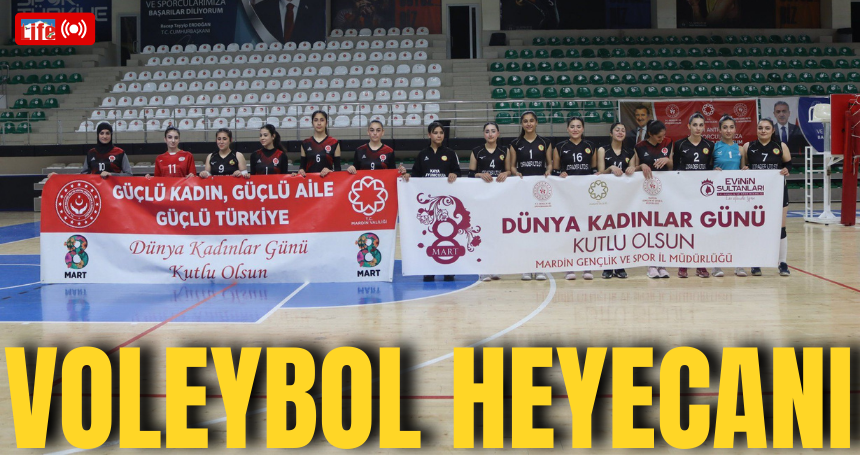 Mardin'de voleybol heyecanı